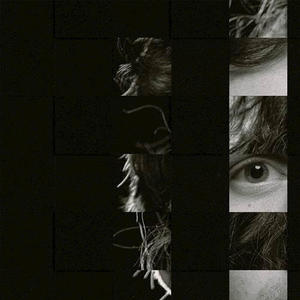 婷婷伦理综合二区
