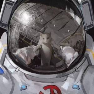 婷婷伦理综合二区
