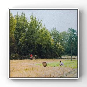 婷婷伦理综合二区
