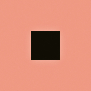 婷婷伦理综合二区
